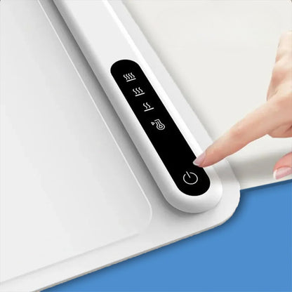 Plaque Chauffante Portable